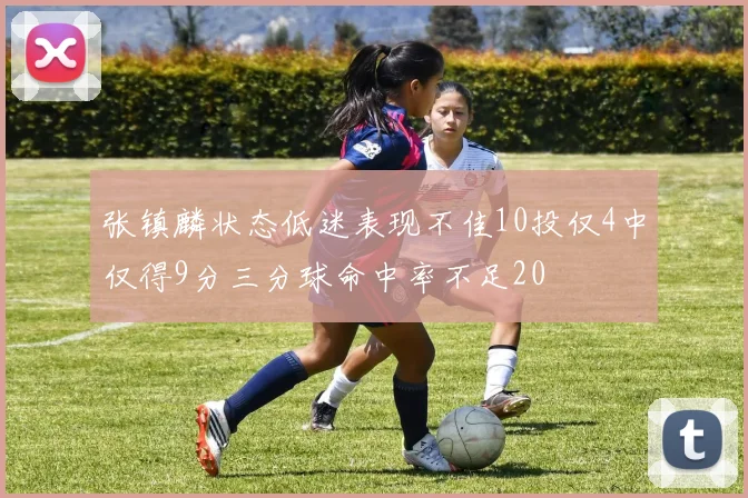 张镇麟状态低迷表现不佳10投仅4中仅得9分三分球命中率不足20